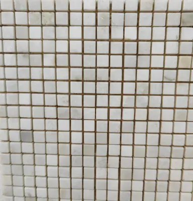 Ms024