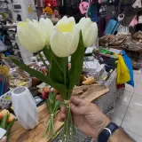 Bouquet de fleurs, tulipes,7p