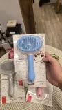 🐱 BROSSE DE TOILETTAGE OVALE