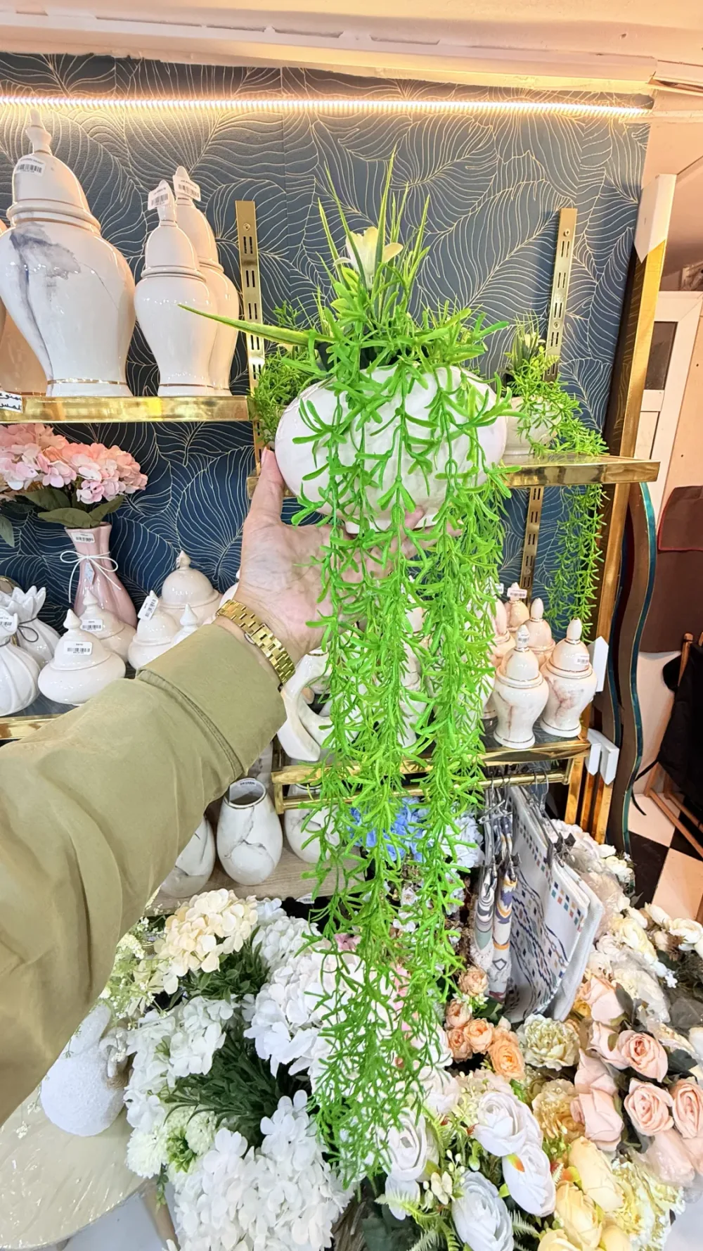 Plante tombante