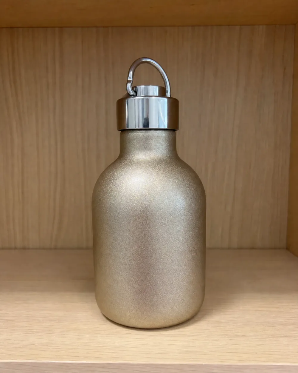 🍾 Bouteille Isotherme Inox à Poignée