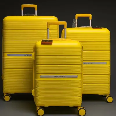 Valise de voyage