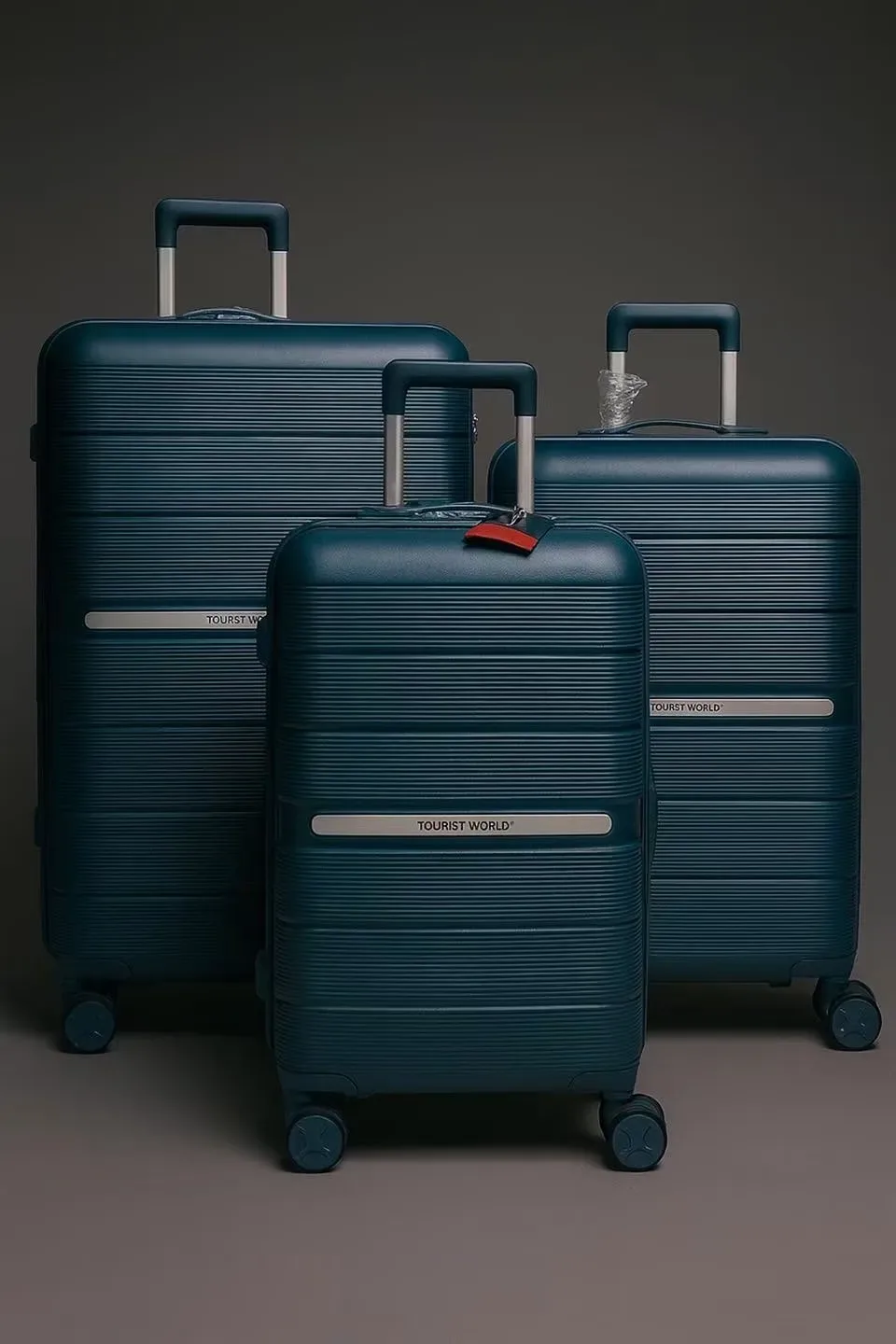 Valise de voyage