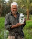 RootFast هرمون التجذير