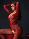 Full Body Net Lingerie