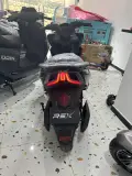 Rex zed max