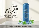 Viola شامبو