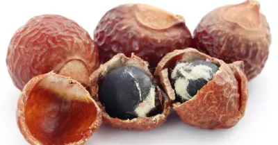 الريثا الهندية