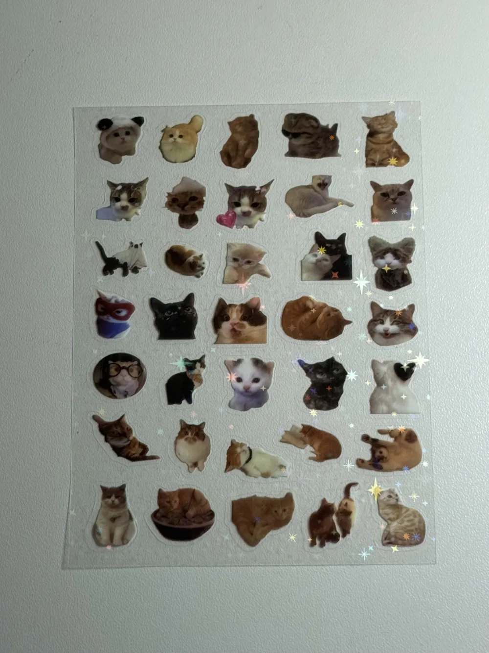 Water proof cat stickers sheet
