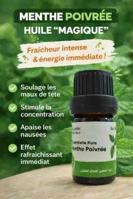 Huile essentielle de menthe poivrée زيت النعناع الفلفي