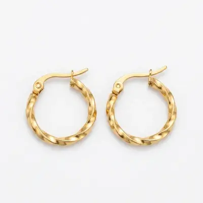 Boucle d'oreille Acier inoxydable PM