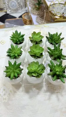 Mini cactus pot en verre