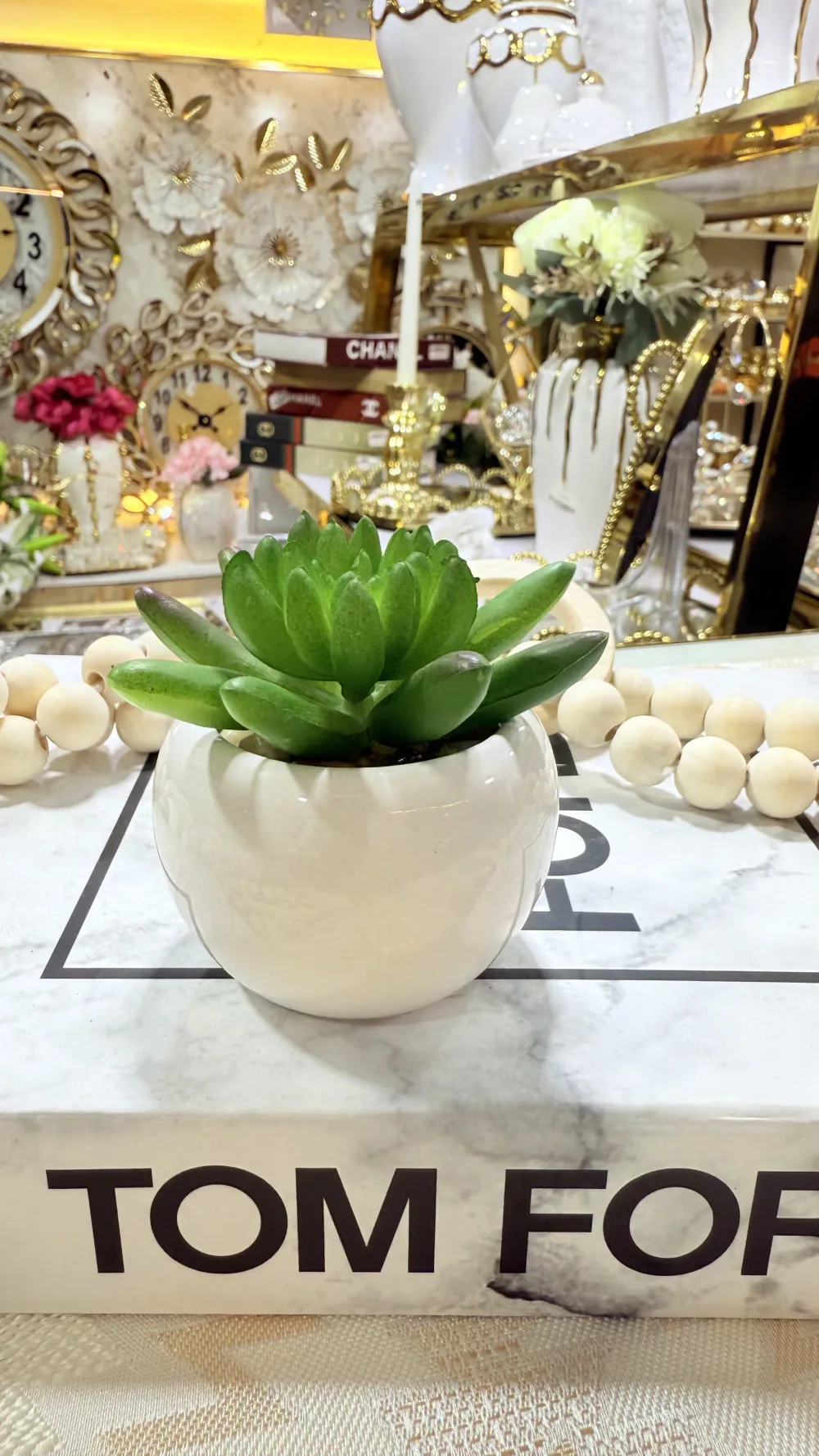 Mini cactus pot en verre
