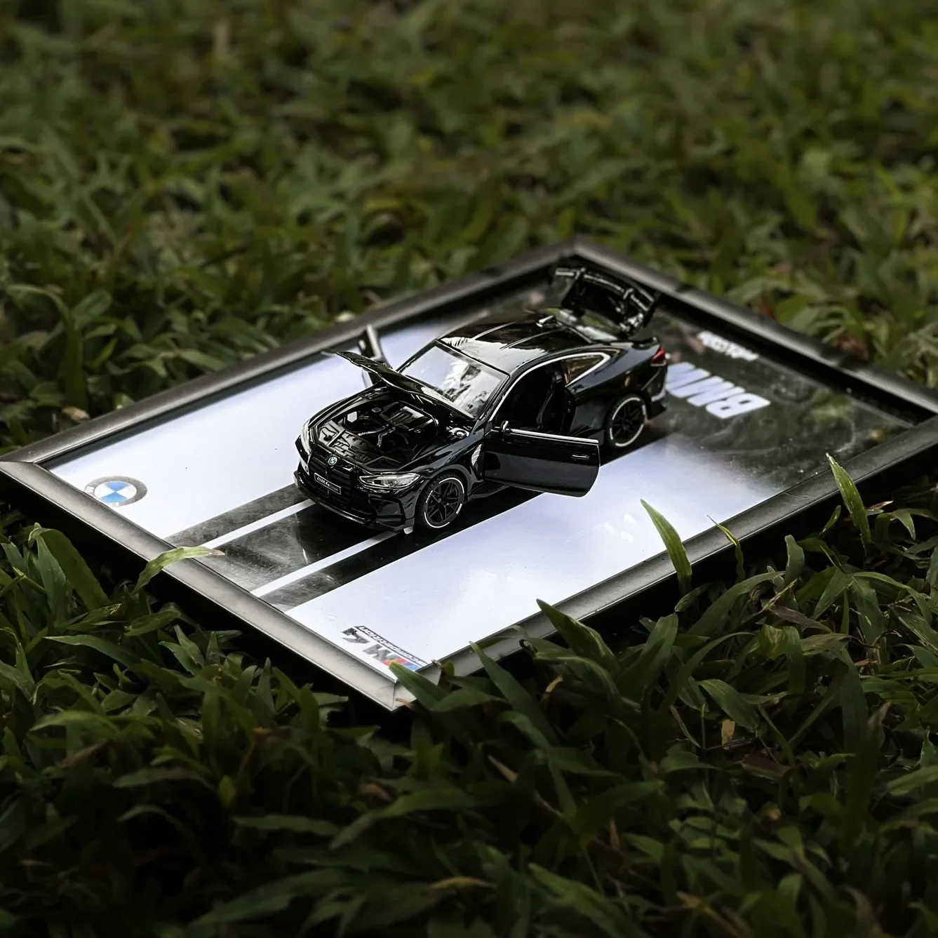 BMW CAR frame