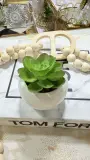 Mini cactus pot en verre