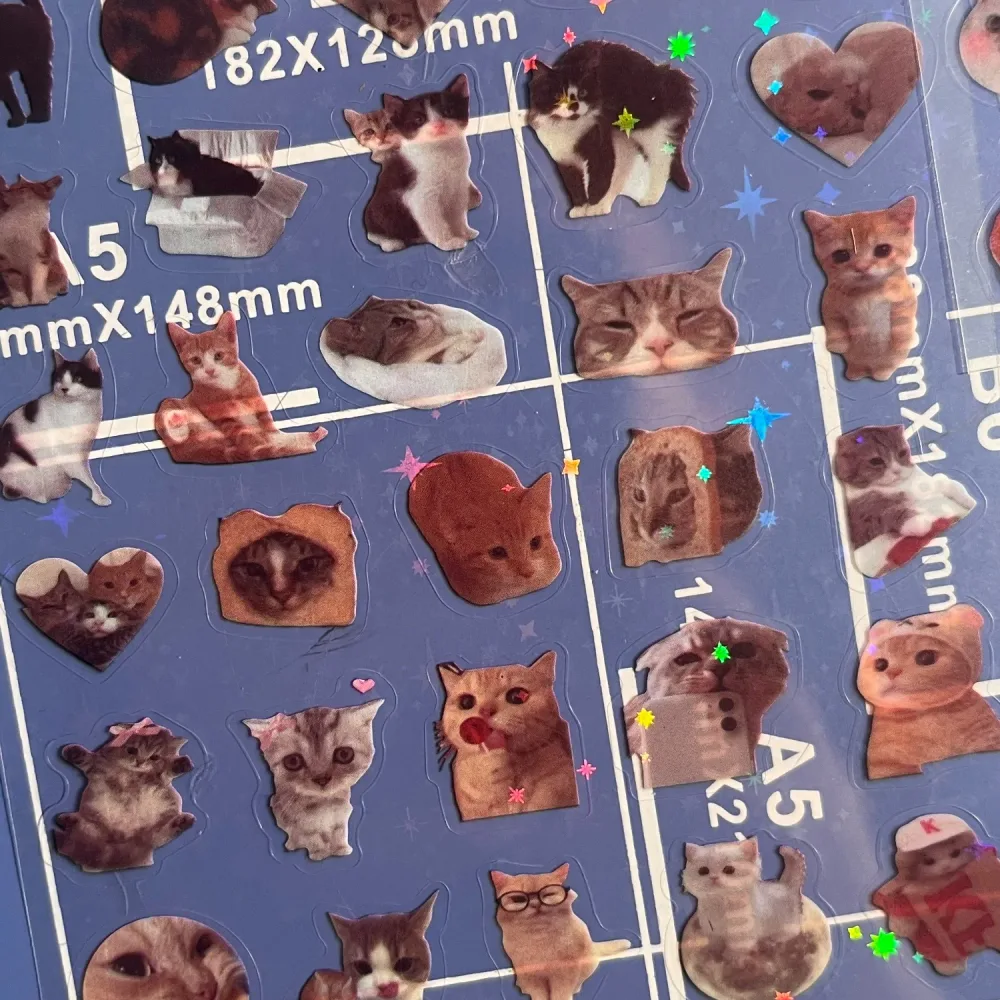 Cute cats stickers