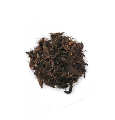 سنيبلة