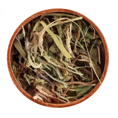الهندب
