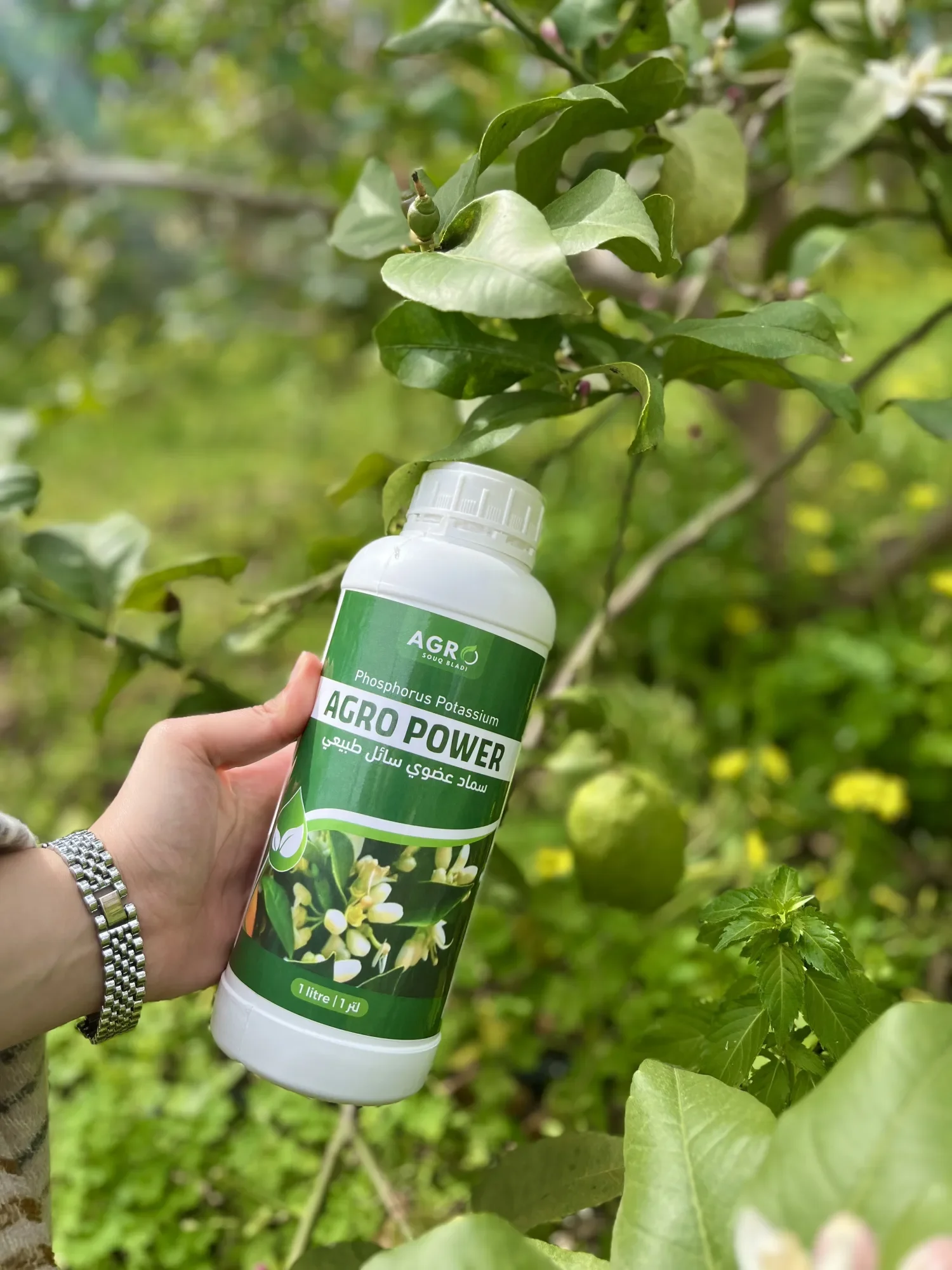 AGRO POWER سماد عضوي