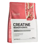 OSTROVIT CREATINE 300G