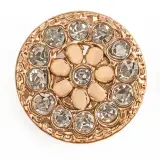 Broche  Salon Plastique B05