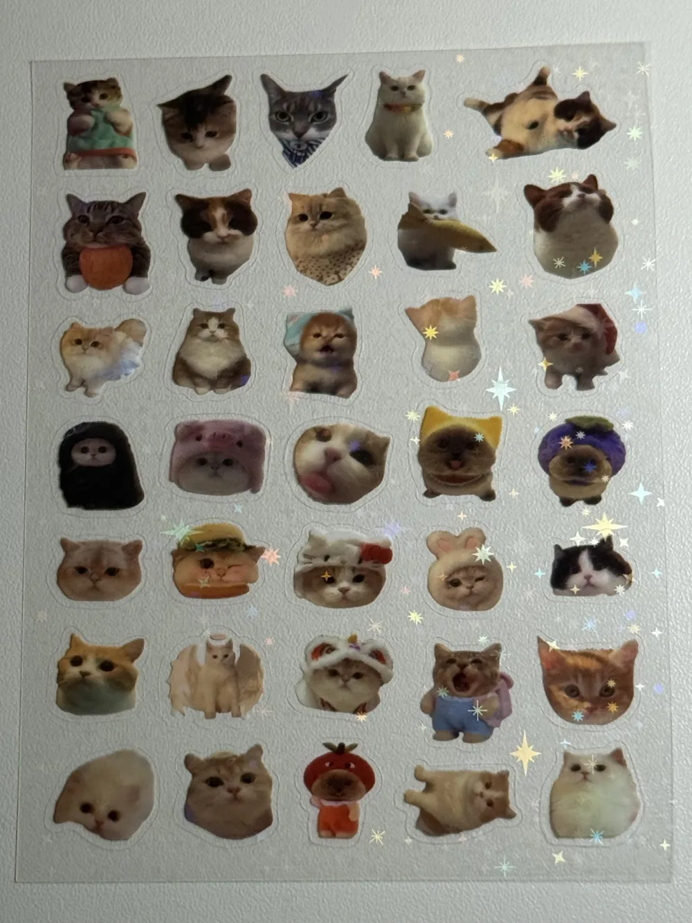 Water proof cat stickers sheet
