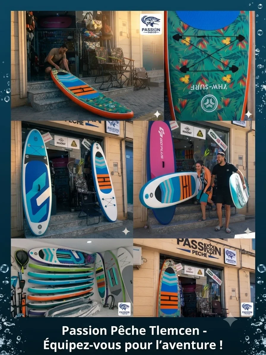 Paddle Board