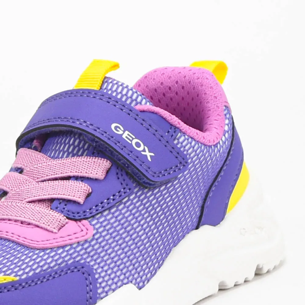 GEOX BASKET