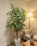 Ficus artificielle 180 cm - شجرة فيكوس اصطناعية