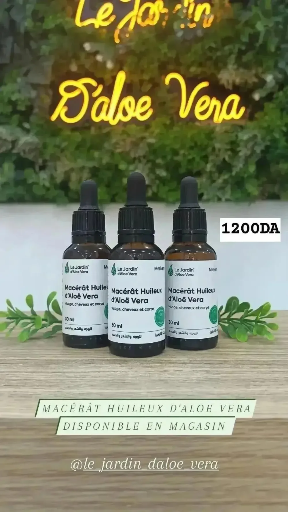 Macérât huileux d'Aloë Vera