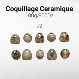 Coquillage Ceramique