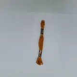 Molini Boite De 12pcs