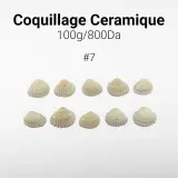 Coquillage Ceramique