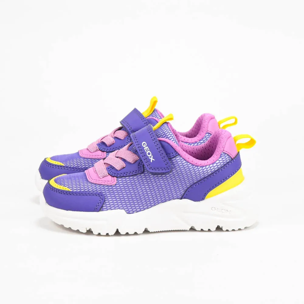 GEOX BASKET