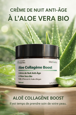 Crème de nuit anti-âge Aloe collagène boost