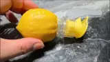 LemoPress 🍋