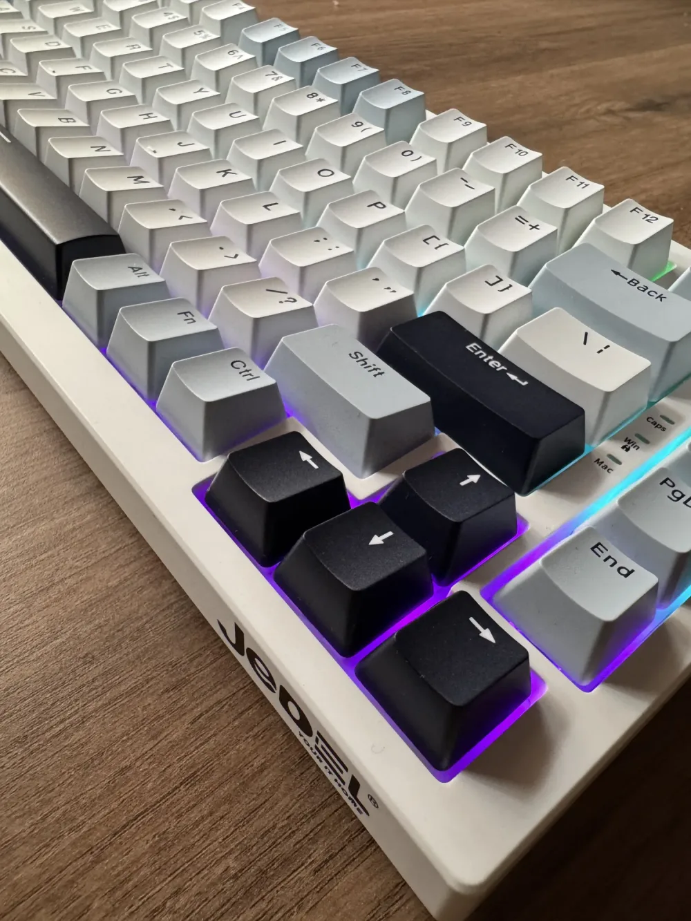 JEDEL KL-81 BLUE SWITCH