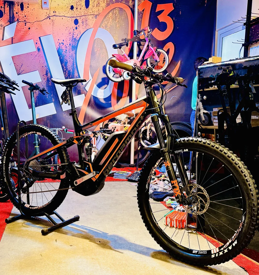 Bergamont E-Trailster 8.0