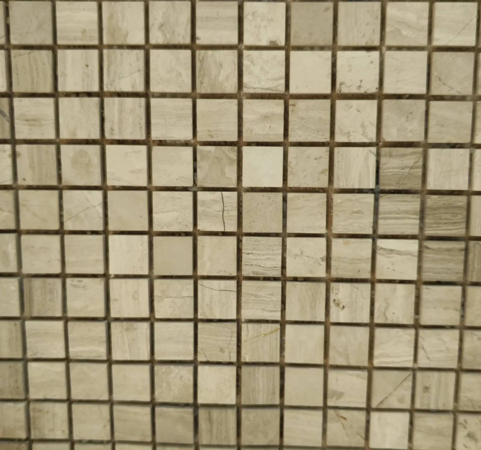 Ms020