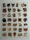 Water proof cat stickers sheet
