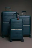 Valise de voyage