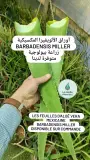 Feuilles d'Aloë Vera أوراق الألويفيرا