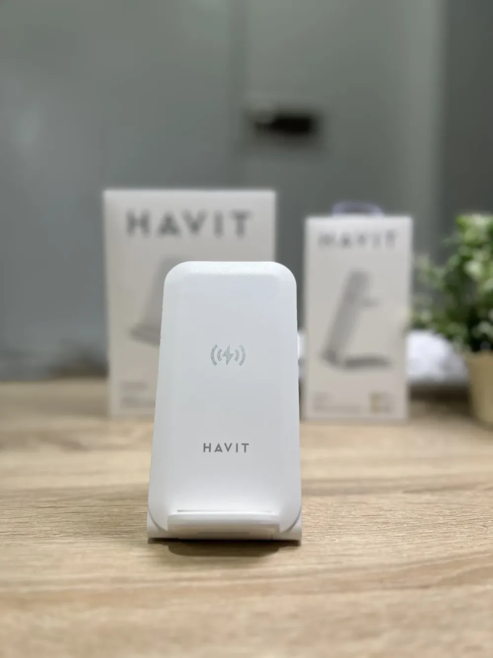 HAVIT W3021