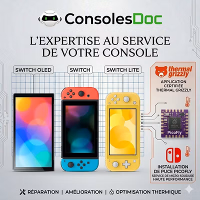 Installation Puce PicoFly, Nintendo Switch, Support Joycon