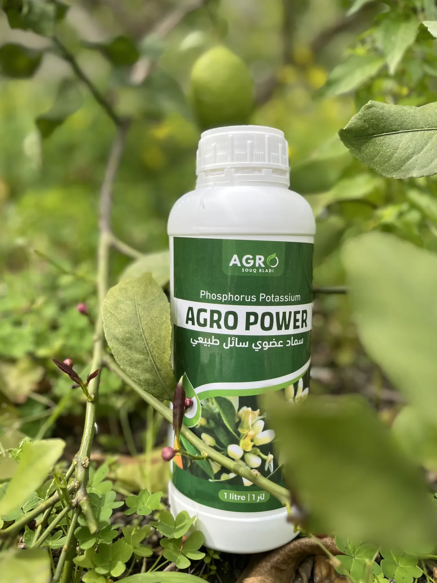 AGRO POWER سماد عضوي