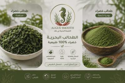 طحالب خضراء