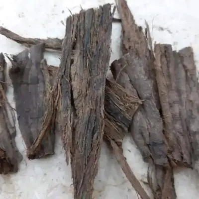 المسواك