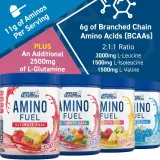Amino Fuel EAA