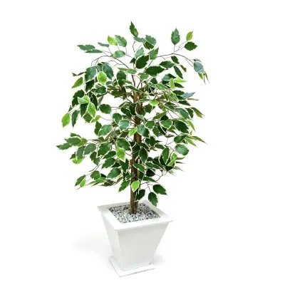 Ficus artificielle 80 cm - شجرة فيكوس اصطناعية