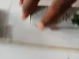 زيت الحبة السوداء/الصوجا/النعناع/الجرجير/الثوم/الصبار/الزنجبيل/الافكادو/القسط الهندي/الترمس الحلو/ اليقطين/الثوم الذكر/القطران/الخردل/الارغان/الحرمل/عرق السوس/الخزامة/الريحان/الجلوجيا/الحلتيت/العرعار/الكافور/النعناع